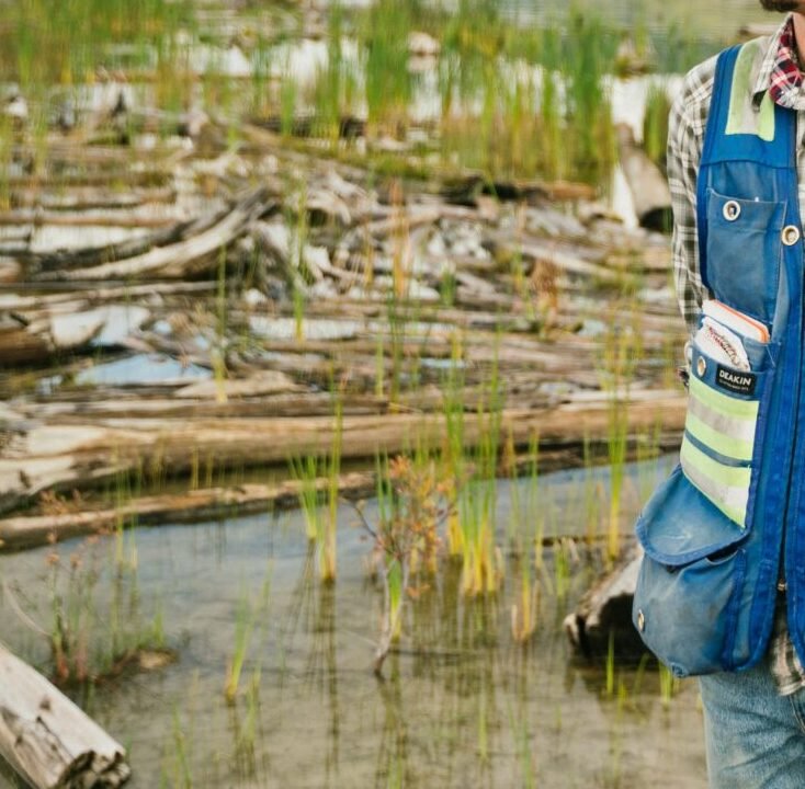 Environmental engineer